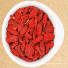 Hot Sale Fresh Organic Goji Berry Red Medlar with best price